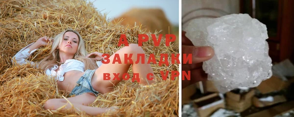 винт Аркадак